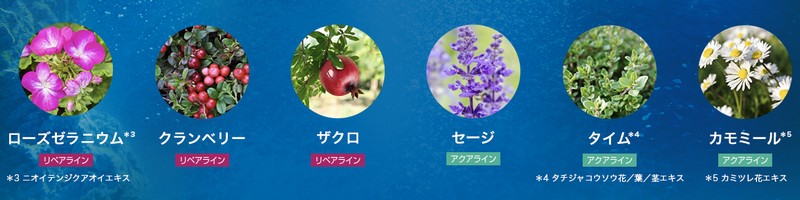 ���{�l�̔��̂��߂ɊJ�������w�A�P�A�y�r�I���W�[�g���C�A���Z�b�g�z���T�C�g